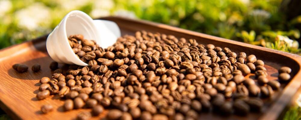 Kenya Kahvesi'nin Sırları: Çekirdekten Demleme Yöntemlerine Kadar Her Şey