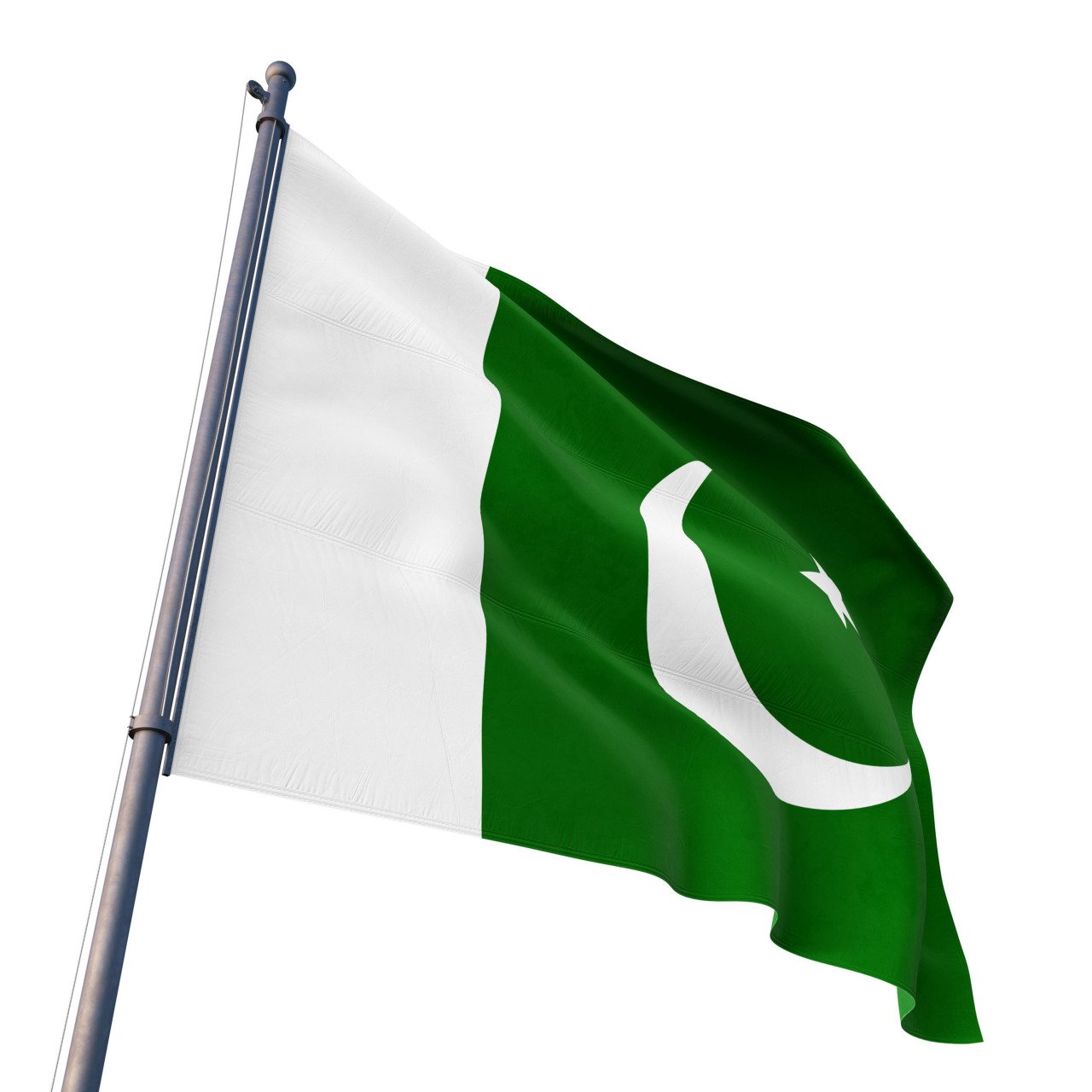 Pakistan Devlet Bayrağı