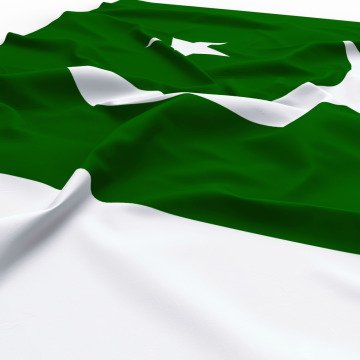 Pakistan Devlet Bayrağı