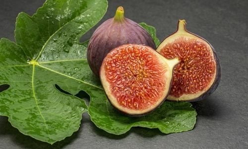 Patlıcan İnciri Fidanı Satışı