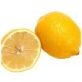 Limon Fidanı