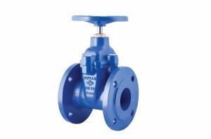 DN 50 Elastomer Sitli Sürgülü Vana(F4) Pik döküm PN16