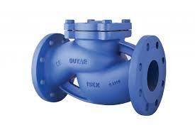 DN 200 Yaylı Çek Vana PN 16 Flanşlı Sfero döküm
