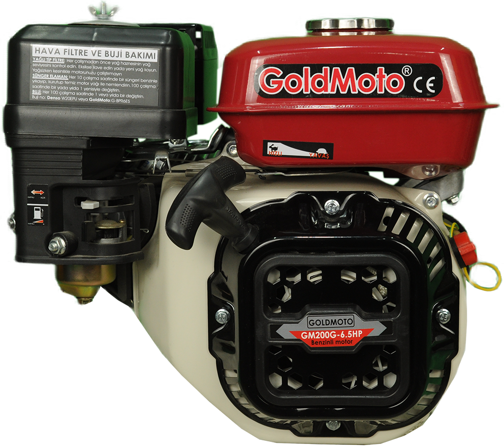 GoldMoto GM200G Benzinli Motor GoKart 6,5 Hp İpli