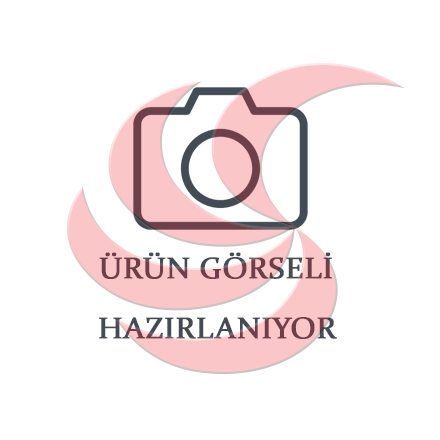 GODLMOTO BENZİNLİ ÜRÜNLER