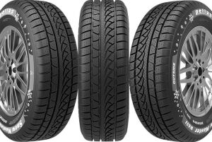 205/45 R17 TL 88H REINF. SNOW MASTER W651 PETLAS; 26328