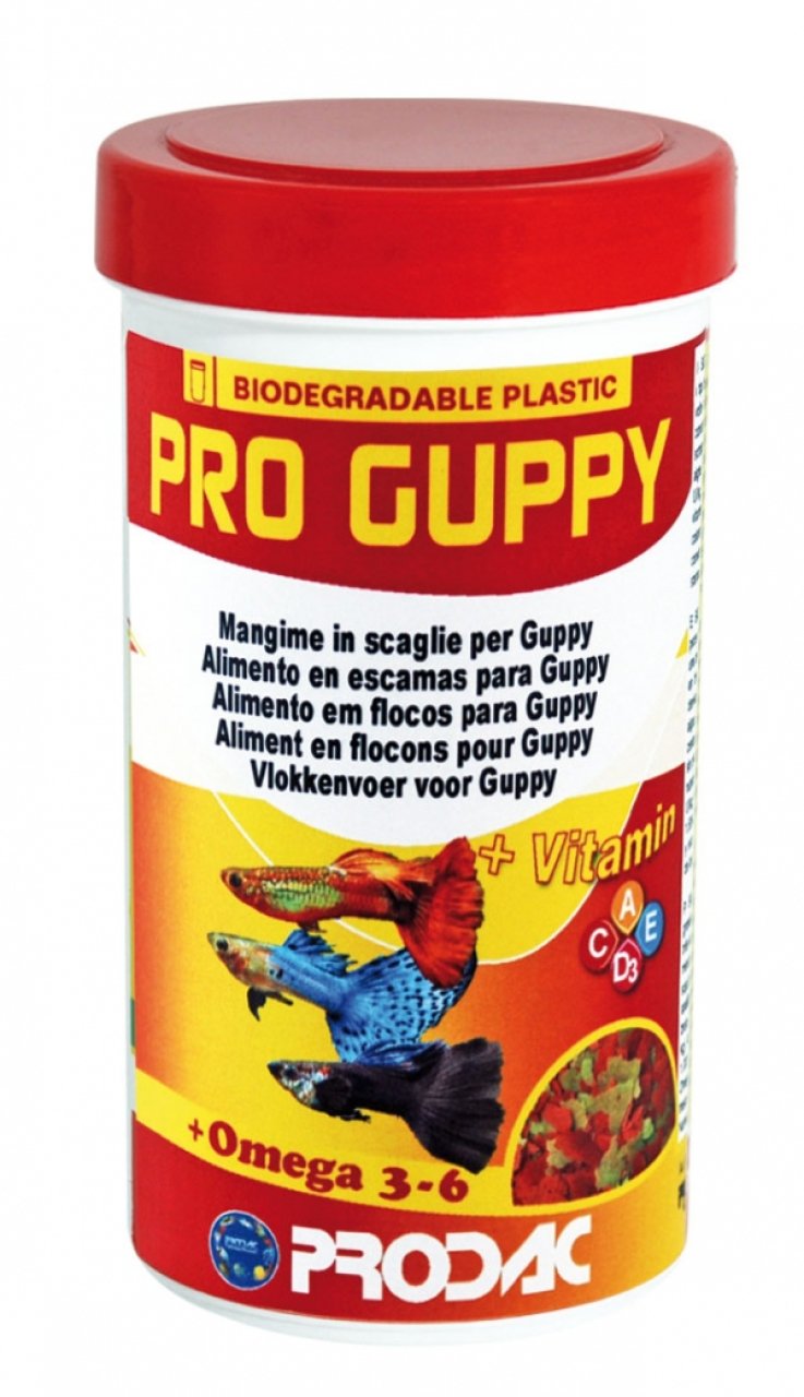 Prodac Pro Guppy Lepistes Balık Yemi 100 Ml
