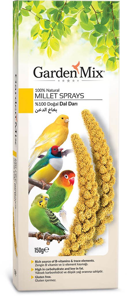 Garden Mix Platin Sarı Dal Darı 150 gr Kutu