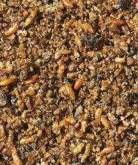 Versele Laga Insect Patee Böcekli Hayvansal Protein Maması 800 g