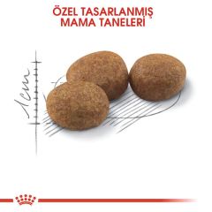 Royal Canin Sterilised 37 Kısırlaştırılmış Kediler İçin Kuru Kedi Maması 2 Kg