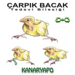 Kanaryapo Kanaryalar İçin Çarpık Bacak Tedavi Bilezik Seti 10 lu Plastik Set