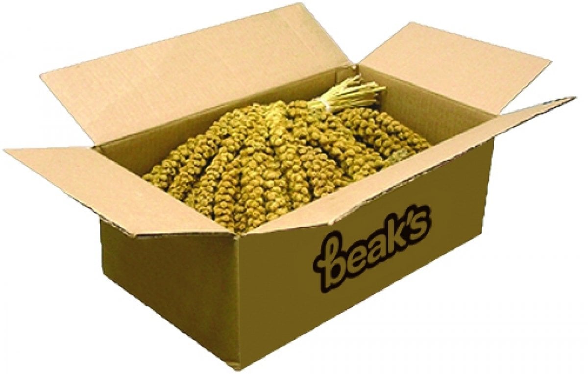 Beaks Sarı Dal Darı 15 kg Koli