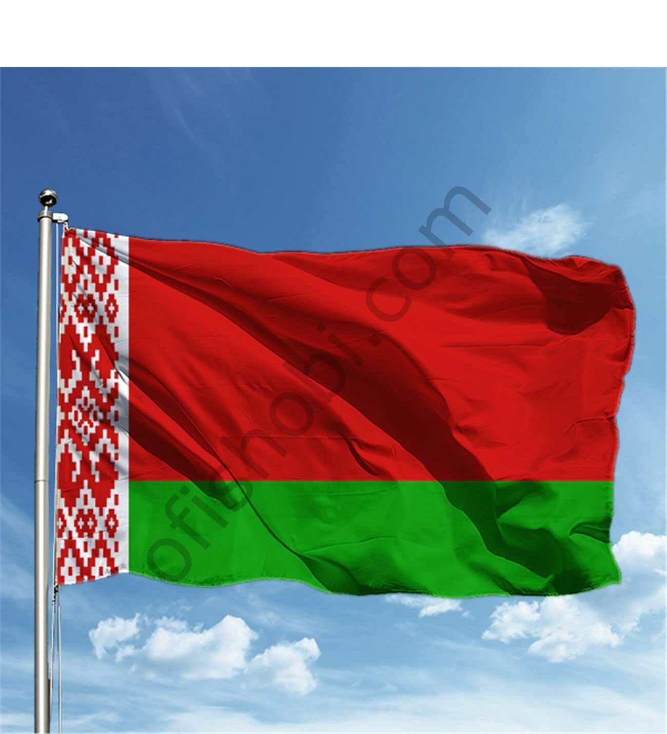 Buket 100x150 Cm Belarus Bayrağı