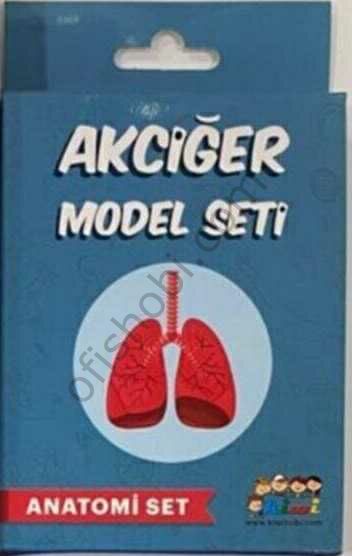 Kiwi Akciğer Deney Seti