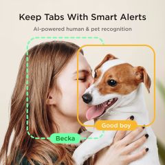 Petcube Cam İç Mekan Wi-Fi Evcil Hayvan ve Güvenlik Kamerası - Telefon App