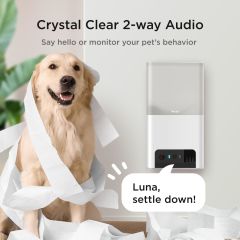 Petcube Bites 2 Lite WiFi Evcil Hayvan İzleme Kamerası - Otomatik Mama Kabı