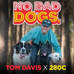 Dogtra Tom Davis 280C Uzaktan Köpek Eğitimi E-Yakasını Güçlendir ve Kilitle