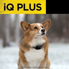 Dogtra iQ Plus Ek Alıcı Şarj Edilebilir Su Geçirmez Uzaktan Köpek Eğitimi