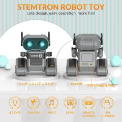 STEMTRON RC Şarj Edilebilir Uzaktan Kumandalı Robot Oyuncak - Gri