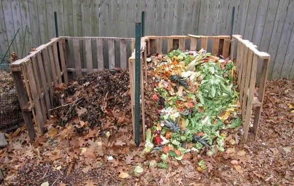 Kompost hazırlama doğal gübre yapımı