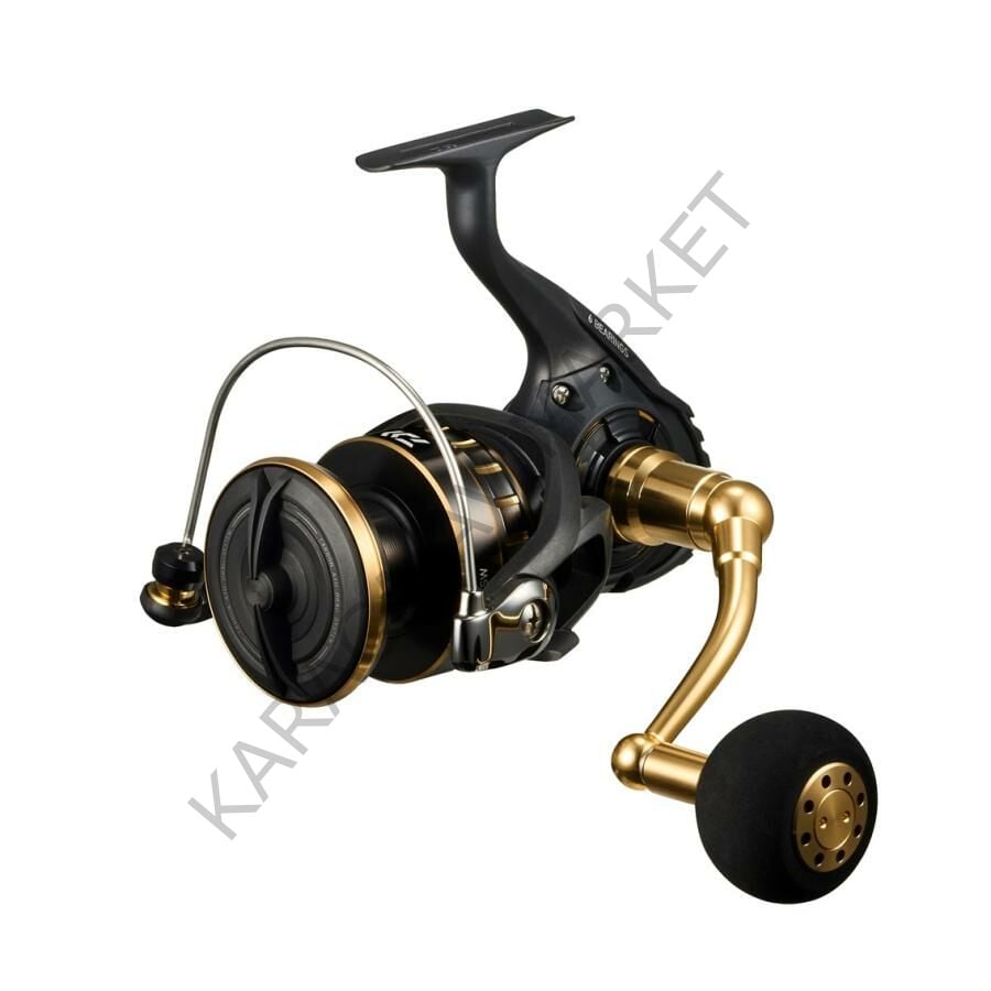 Daiwa  BG SW 8000P