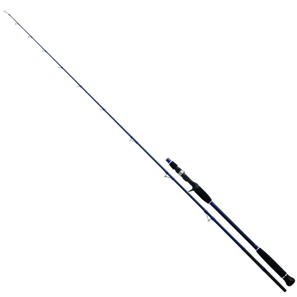 Daiwa Exceler Oceano 198cm MAX250 Olta Kamışı