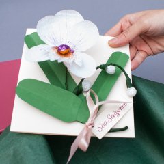 Orkide Beyaz Kâğıttan Özel El Yapımı