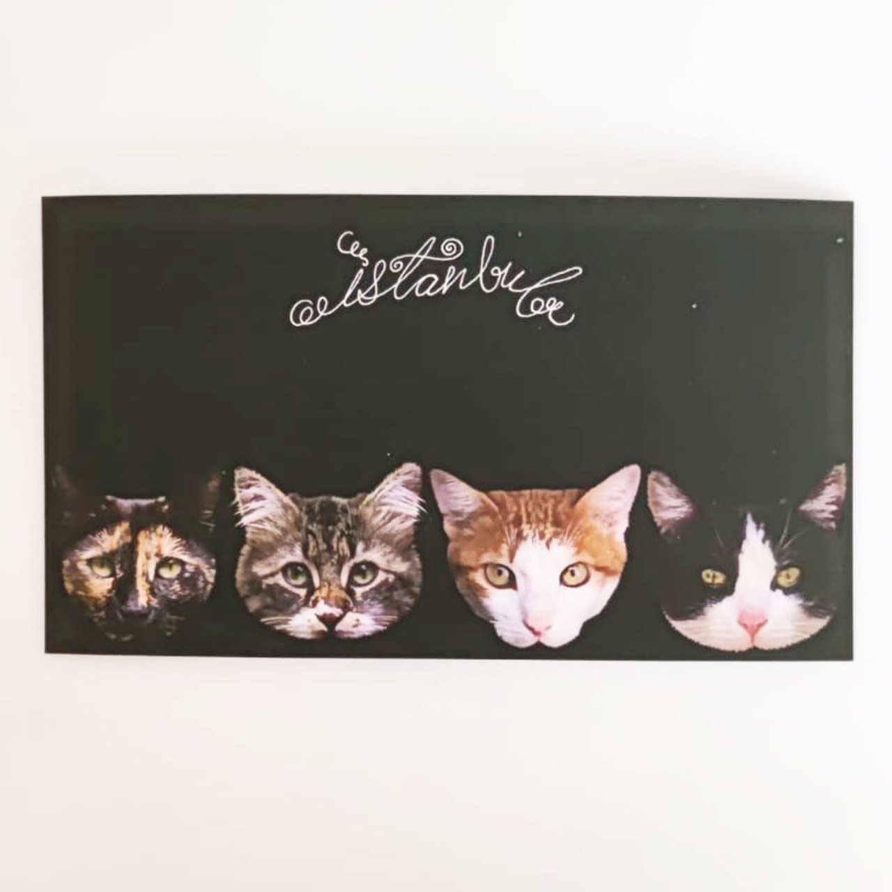 Kedili İstanbul Hatırası Kartpostal