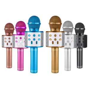 Karaoke Mikrofon TV50