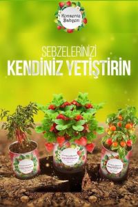 Konserve Bahçem Evde Konservede  Kemer PatlıcanYetiştirme Kiti