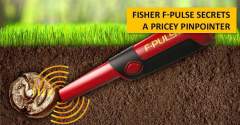 Fisher Dedektör F-Pulse Pinpointer