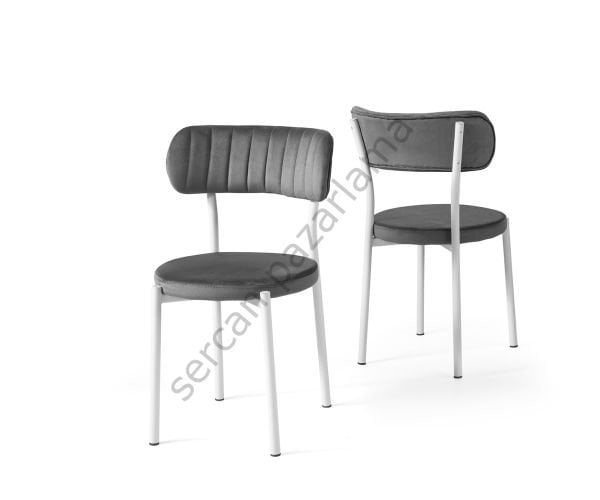 2381 - Beta Sandalye - Beyaz/Gri
