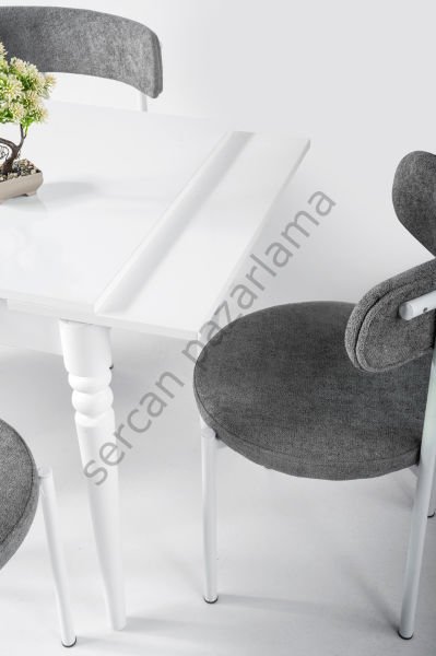 1225-2321 - Pınar Masa Sandalye Takımı - Beyaz