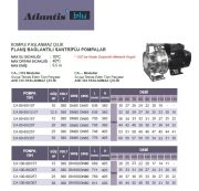 Atlantis CA 65-50/7.5T    7.5Hp 380V  Komple Paslanmaz Çelik Flanş Bağlantılı Santrifüj Pompa