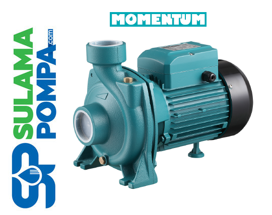 PG/1A 1 HP 380V TEK FANLI SANTRİFÜJ POMPA