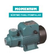 Momentum  Pkm80AT   1Hp 220V  Preferikal Sürtme Fanlı Pompa