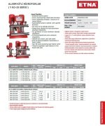 Etna Y2 KO 35/5-110     2X15 Hp 380V   İki Pompalı Alarm Kitli Yangın Hidroforu