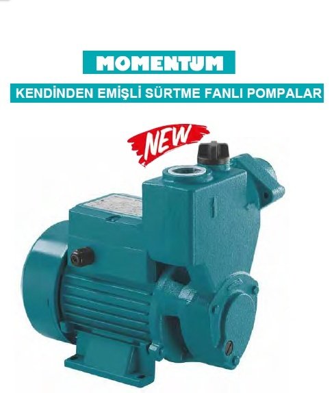 Momentum  PKSm75   1Hp  220V  Kendinden Emişli Sürtme Fanlı Pompa