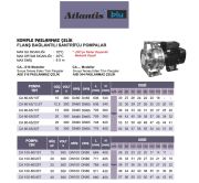 Atlantis CA 100-80/40T    40Hp 380V  Komple Paslanmaz Çelik Flanş Bağlantılı Santrifüj Pompa