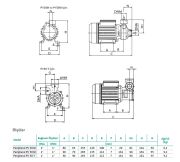 Wilo Initial Peripheral PV 50 T  0.8Hp 380V  Tek Kademeli Periferik Pompa