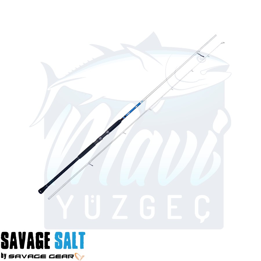 Savage Gear Salt 1DFR Shore Dıstance Spın 366cm 120g 2 Parça