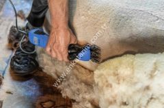 FarmClipper4 Koyun Kırkma Makinesi