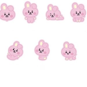 BTS BT21 Üye Sticker