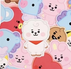 BTS BT21 Üye Sticker