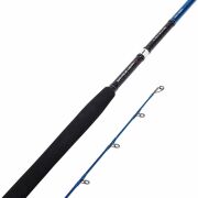 Savage Gear SGS2 Shore Jigging 9'6''/2.90m 20-80 gr Spin Kamış