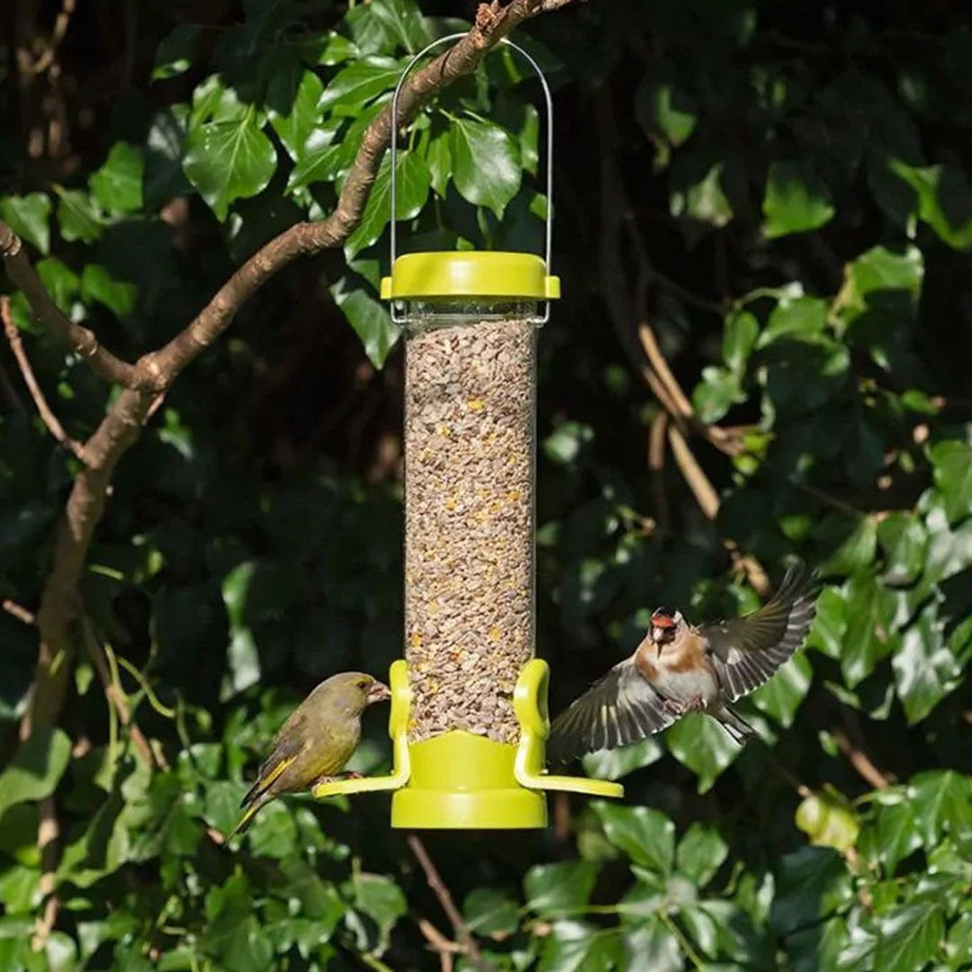 FLO LIME (SEED FEEDER) - SMALL