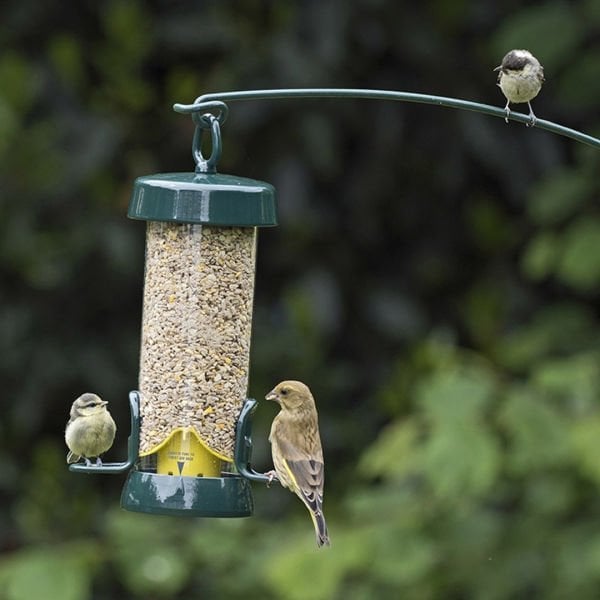 BIG EASY (SEED FEEDER) - SMALL