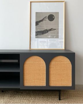 CUBBE TV UNIT II