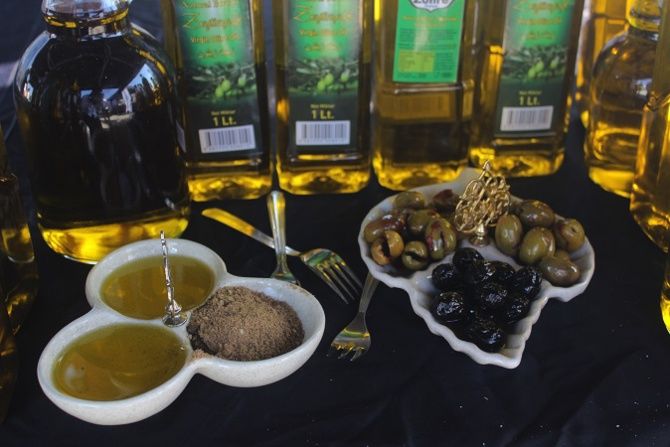 Kilis`te zeytin ve zeytinyağı tanıtıldı