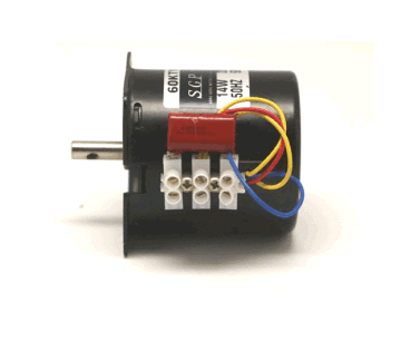 220V 2,5 Rpm 14W AC Senkron Motor